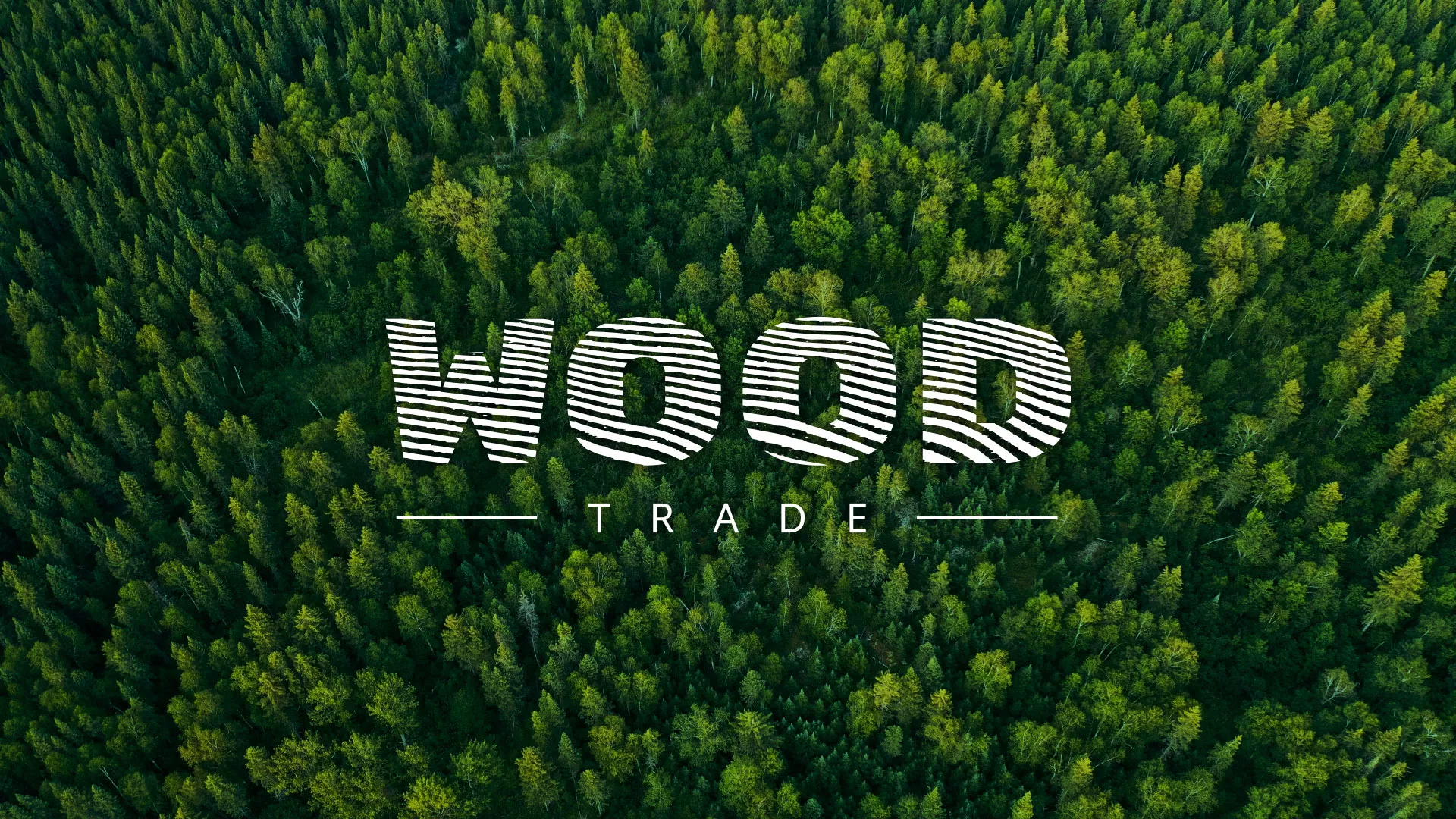 Разработка интернет-магазина компании «Wood Trade» в Городищах